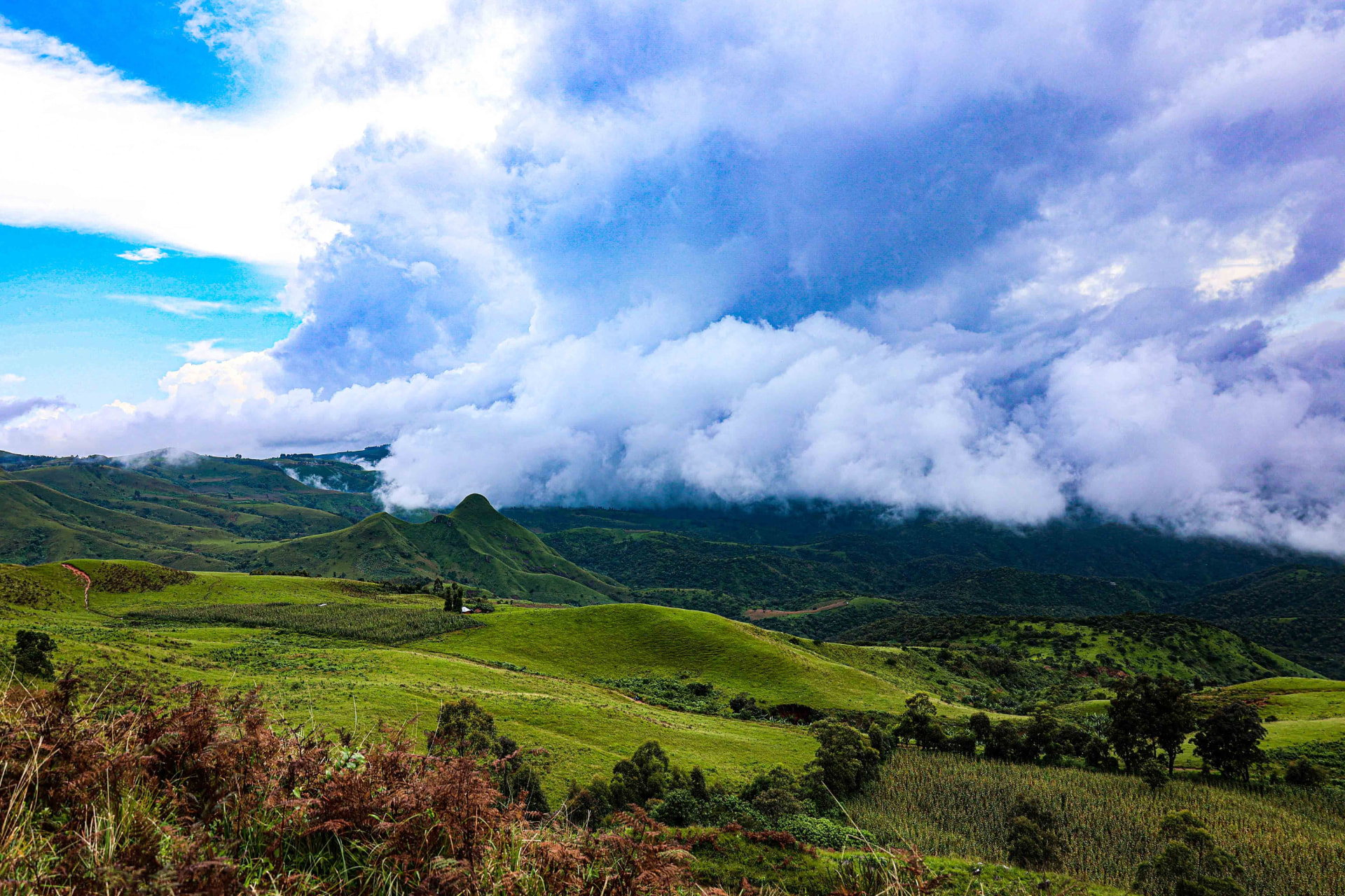 Rolling green hills and cloud-covered highlands in Taraba State